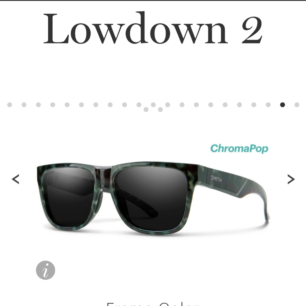 Smith Lowdown 2 Camo Tort
